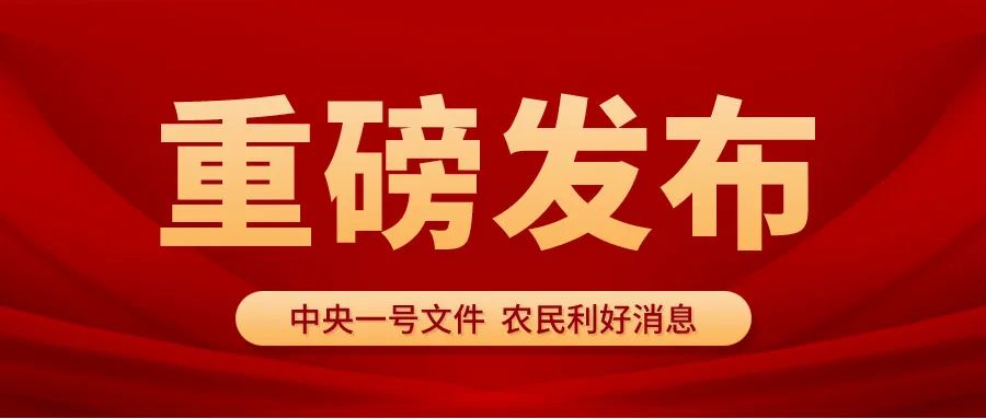 圣运速递：2024中央一号文件解读，这些利好消息你还没了解？