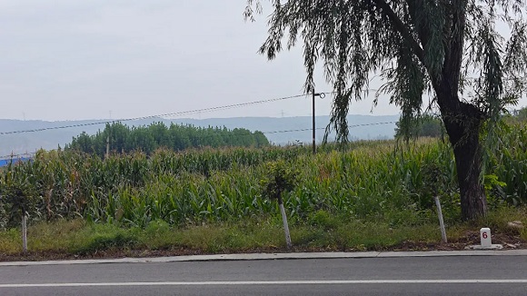 圣运律师精准破局！集体土地确权违法案复议胜诉