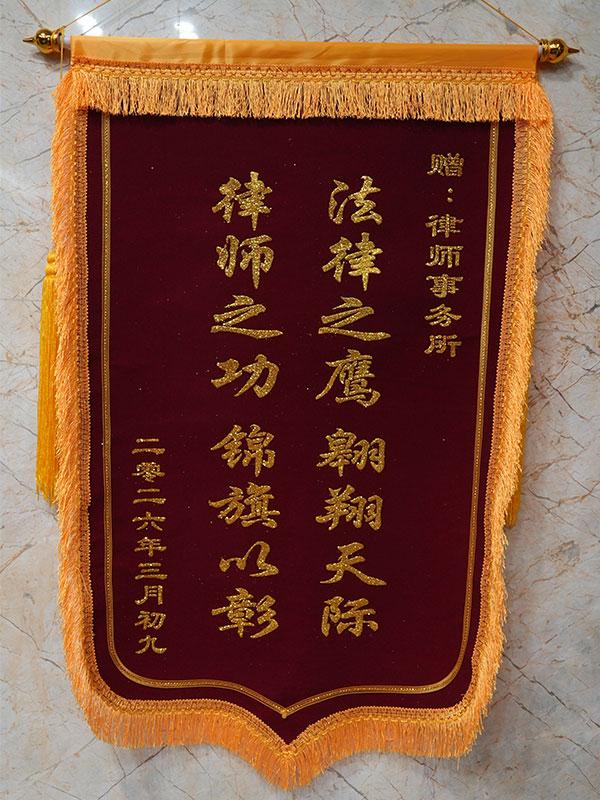 法律之鹰，翱翔天际