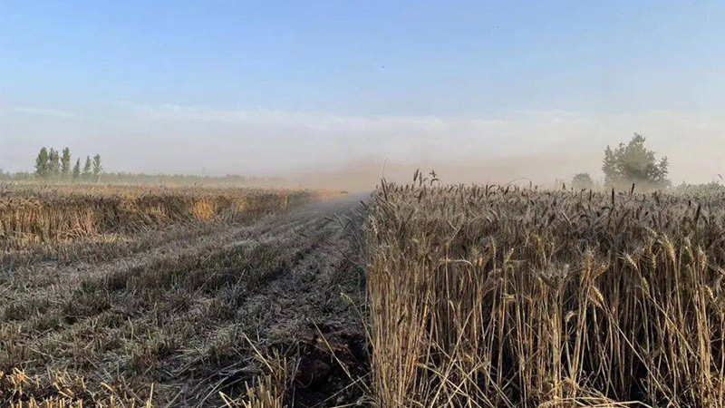 湖北案例：圣运律师再胜诉：镇政府果园强拆行为被判违法